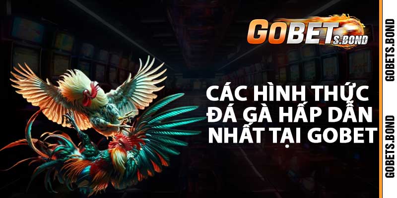 Các hình thức đá gà hấp dẫn nhất tại gobet